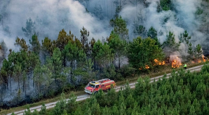 காலநிலை மாற்றத்தால் அழியும் நிலையில் வன உயிர்கள் - ஆய்வில் அதிர்ச்சி 